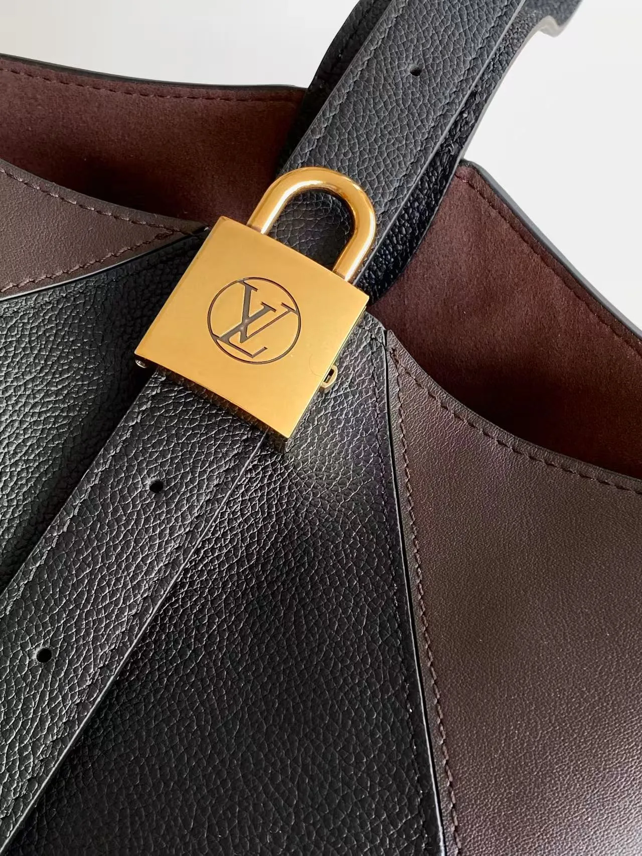 Louis Vuitton Cowhide Hobo Bag in Black · view 7