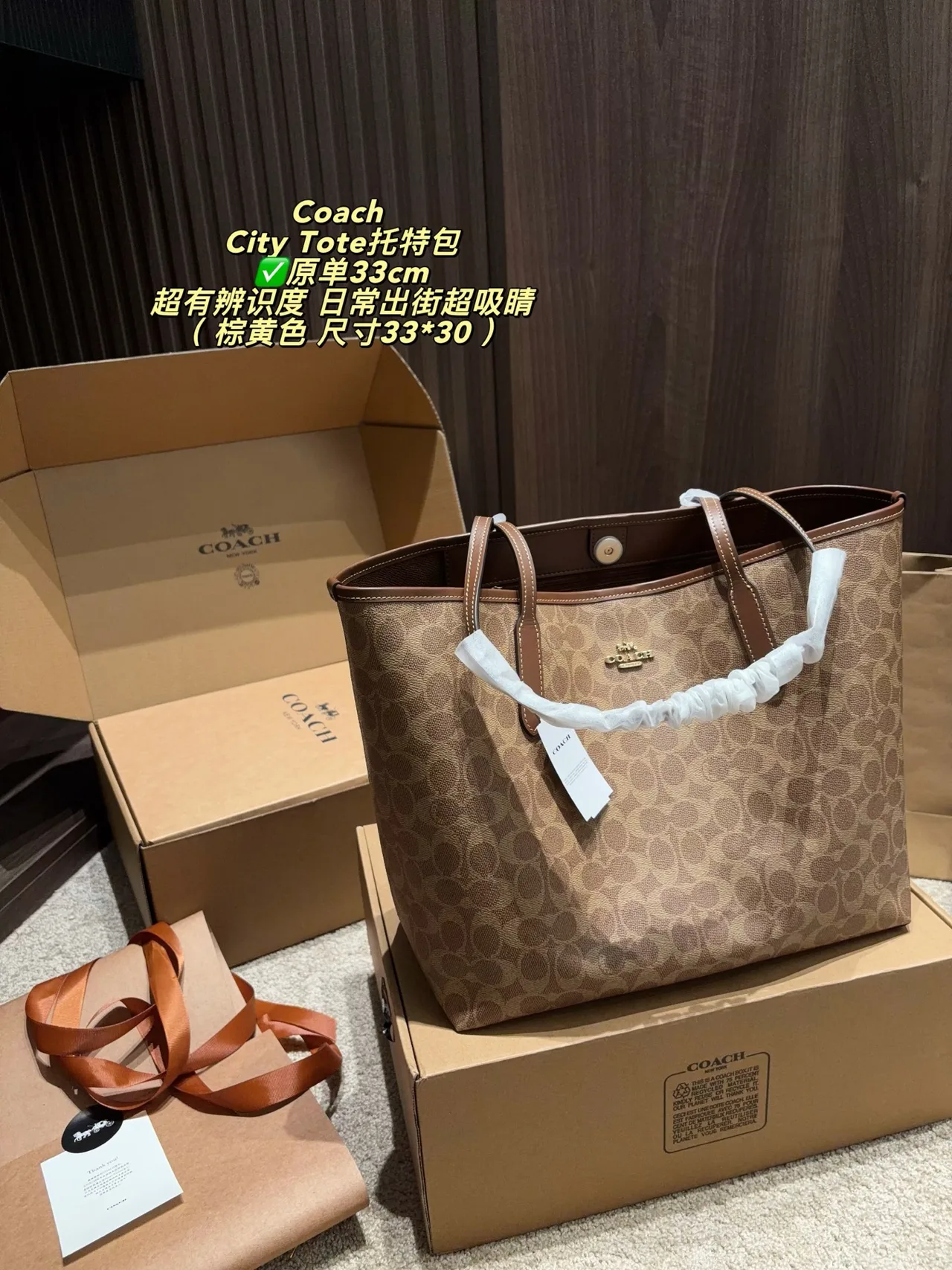 Coach Canvas Tote in Tan · view 1