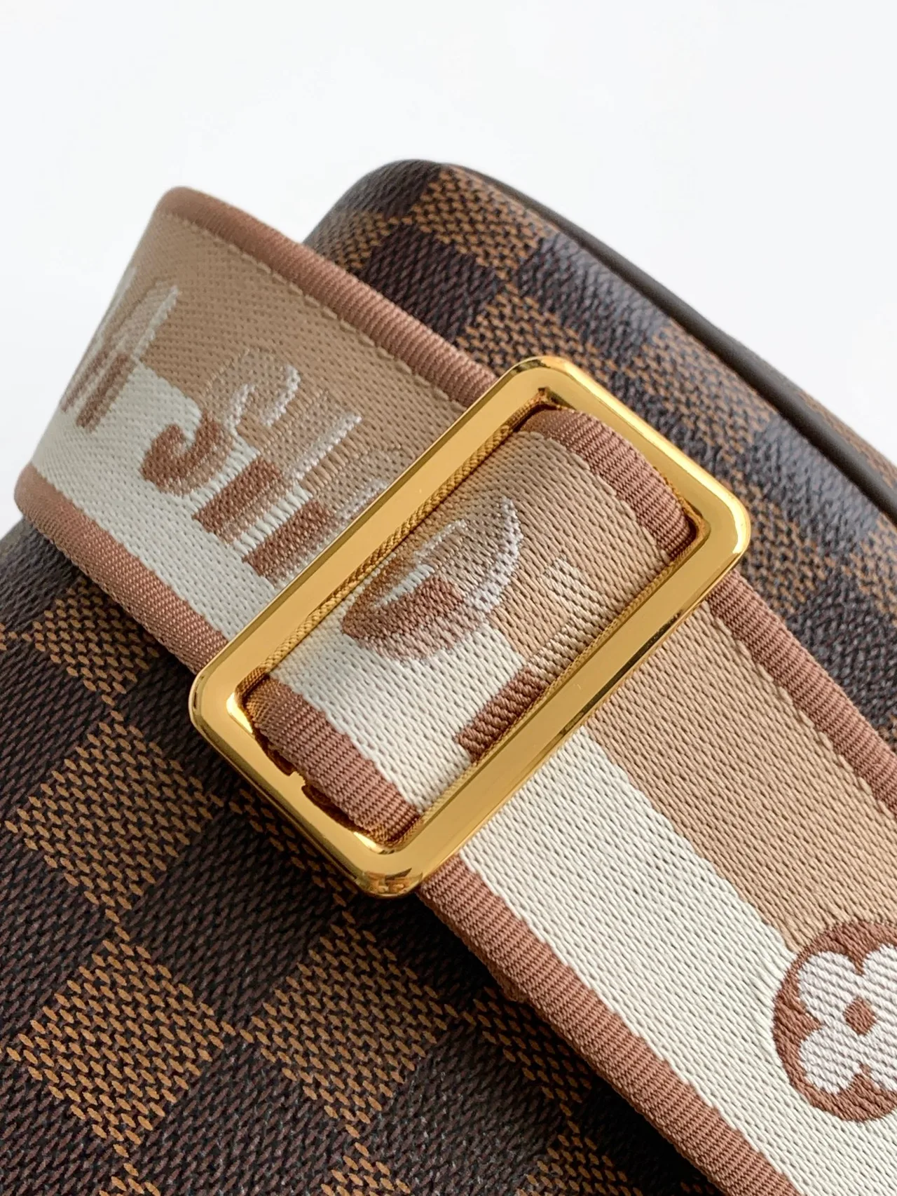 Louis Vuitton Speedy Handbag in Brown · view 8