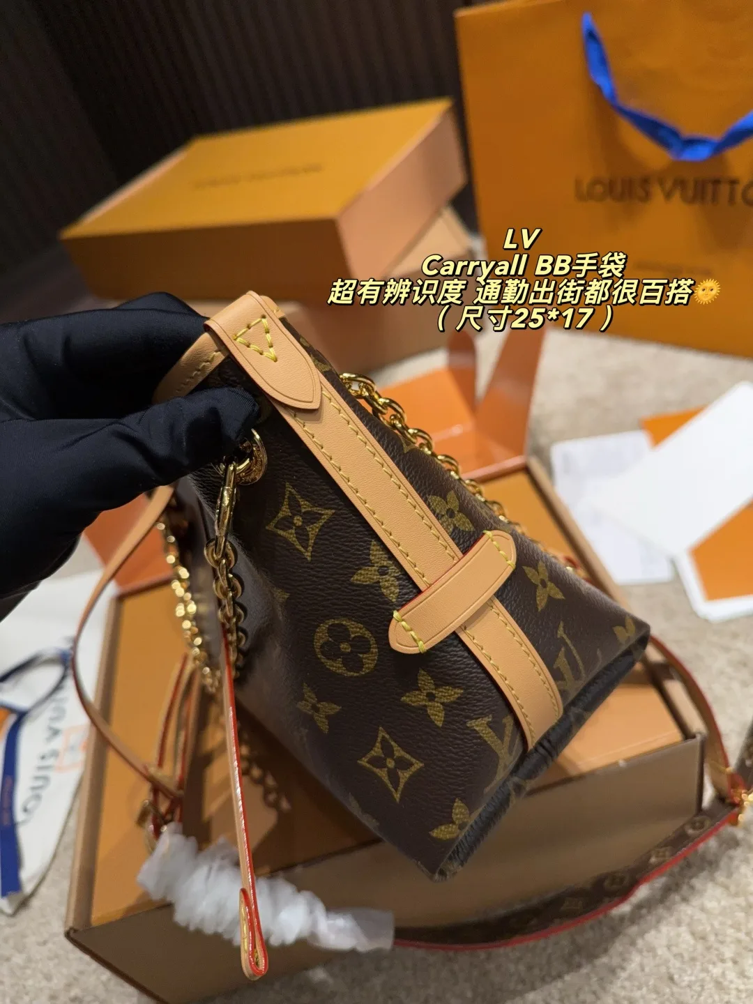 Louis Vuitton Carryall BB Shoulder Bag in Brown · view 6