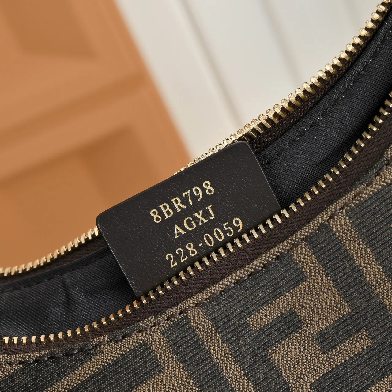 Fendi Monogram Hobo Bag in Brown · view 6