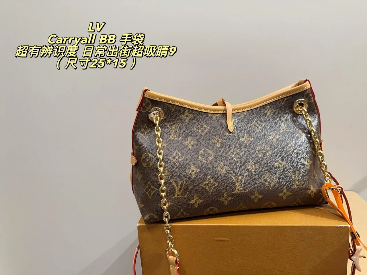 Louis Vuitton Canvas Hobo Bag in Brown · view 3