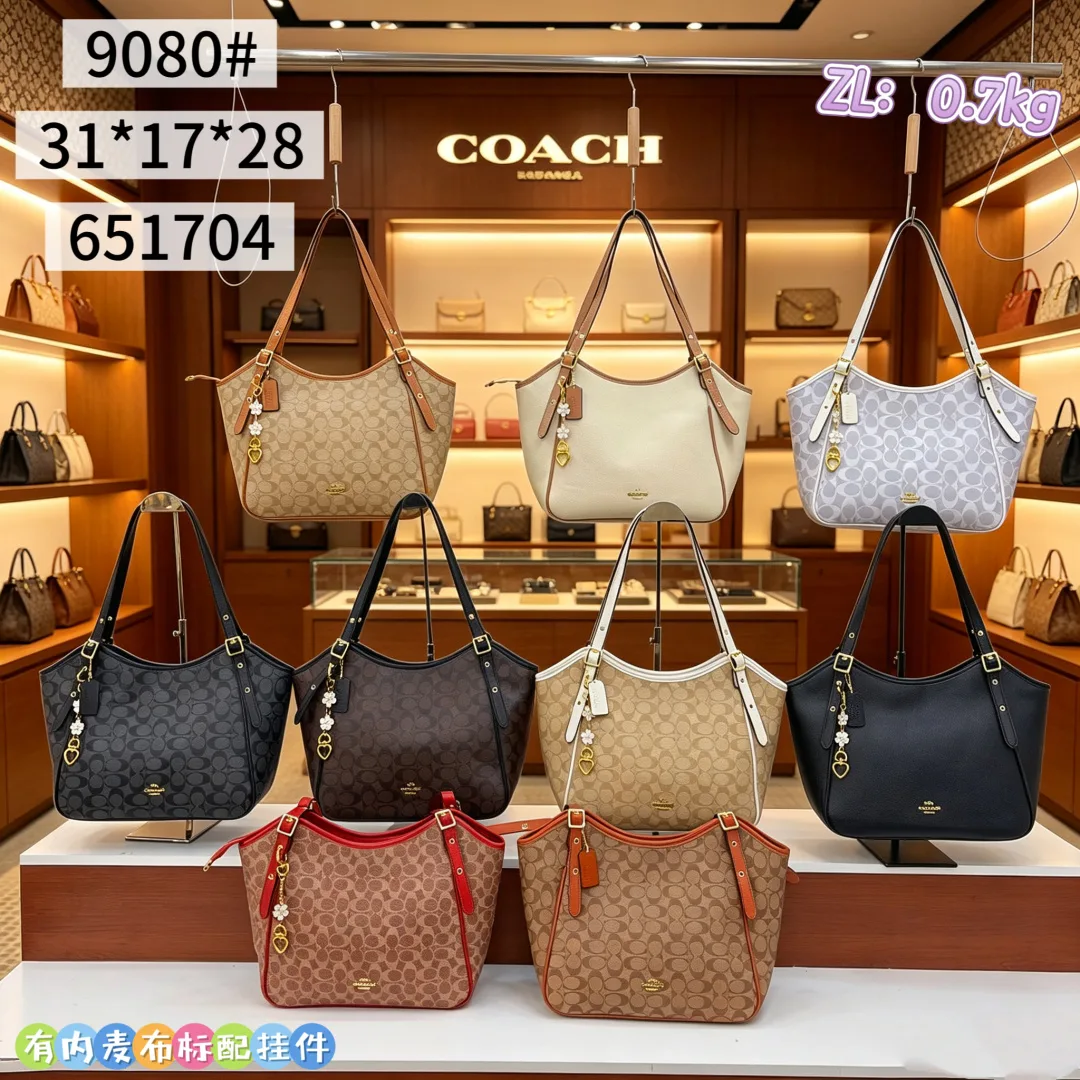 Coach 9080 Hobo Bag in Grey / Beige / Brown / Black / Blue · view 8