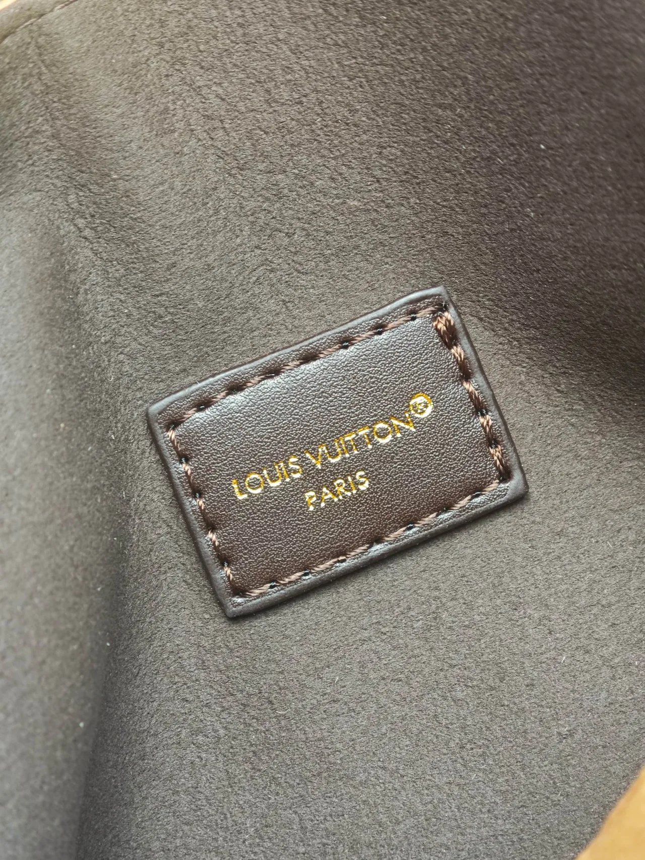Louis Vuitton Suede Canvas Hobo Bag in Brown · view 8