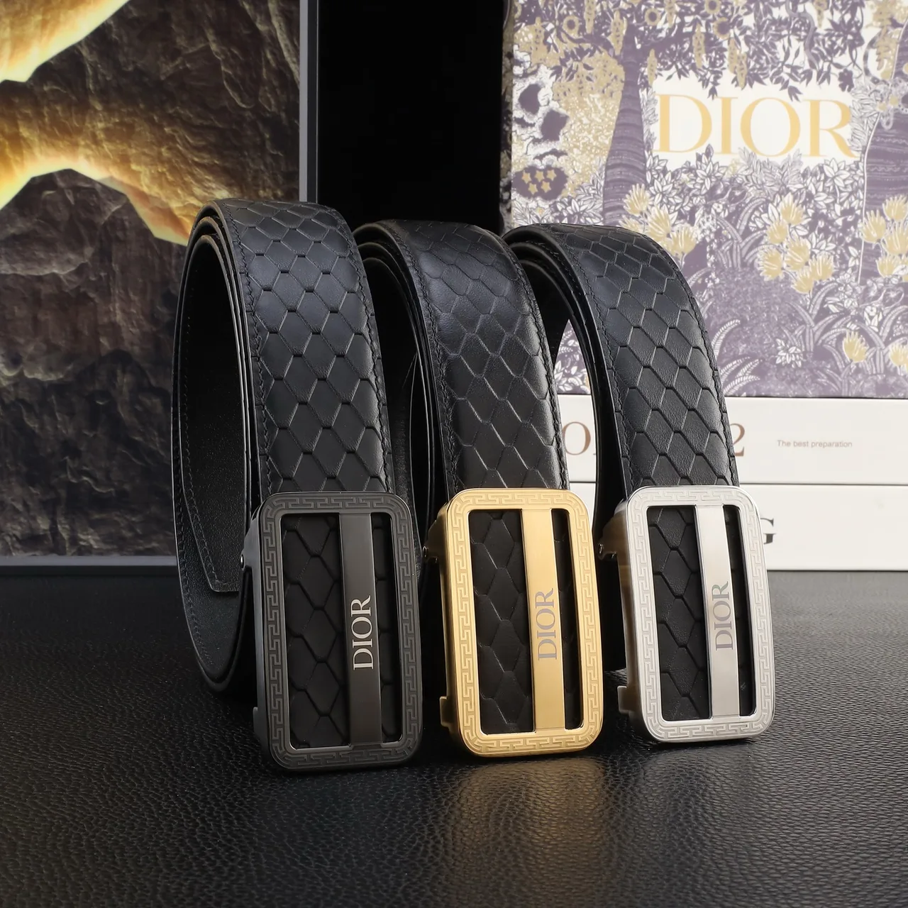 Dior Automatic Belt in Black · view 8