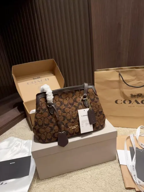 Coach Shoulder Bag in Brown · view 1