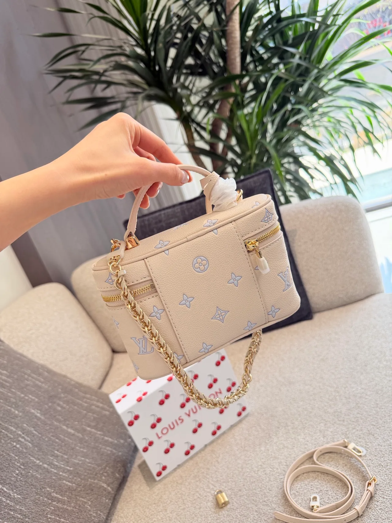 Louis Vuitton Cowhide Vanity Bag in White · view 6