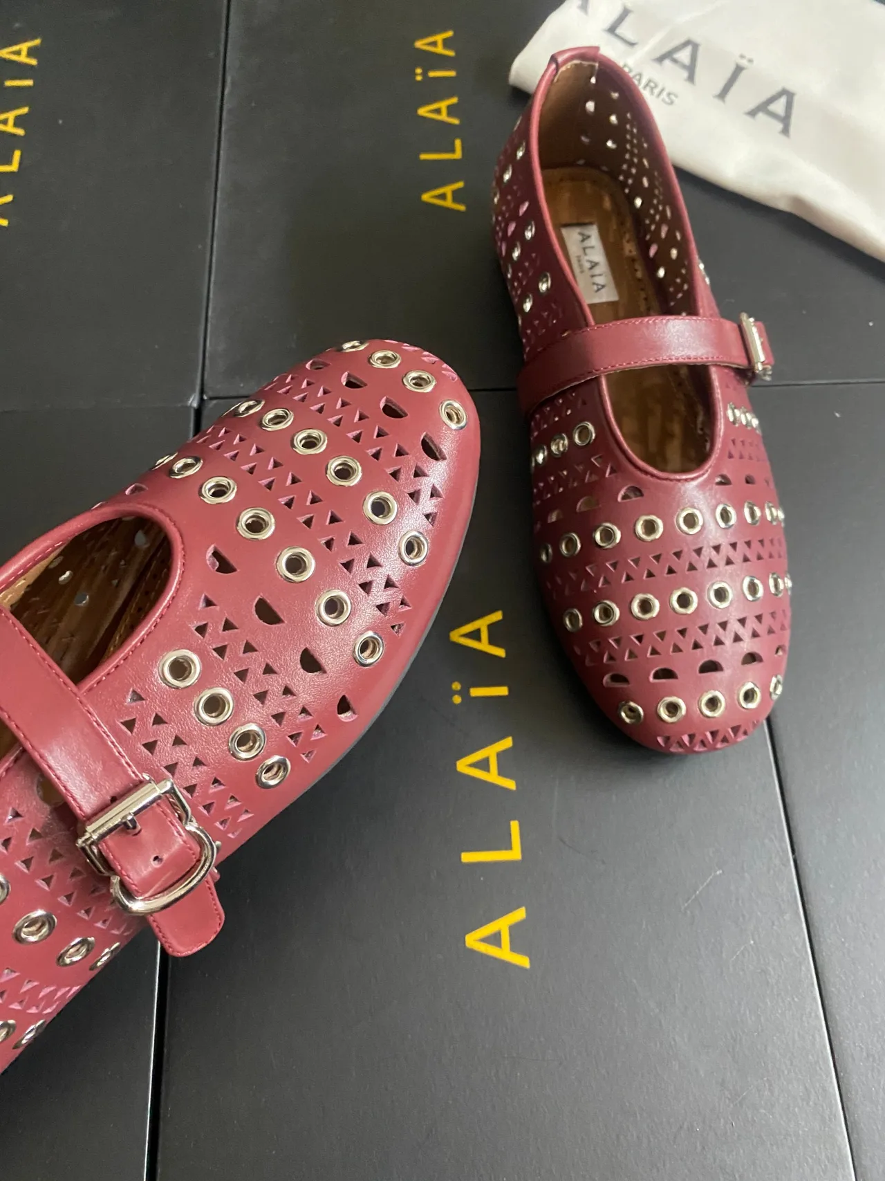 Alaia Cowhide Sheepskin Studded Mary Jane Flats in Burgundy · view 6