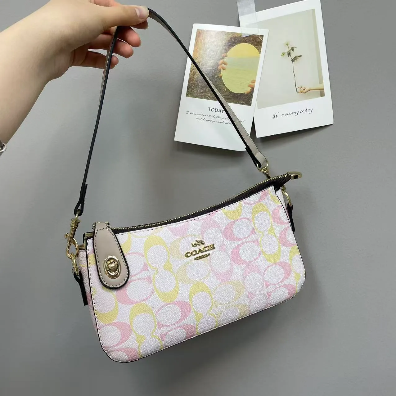 Coach Shoulder Bag in Grey & Pink & Beige & Brown & Tan & White · view 6