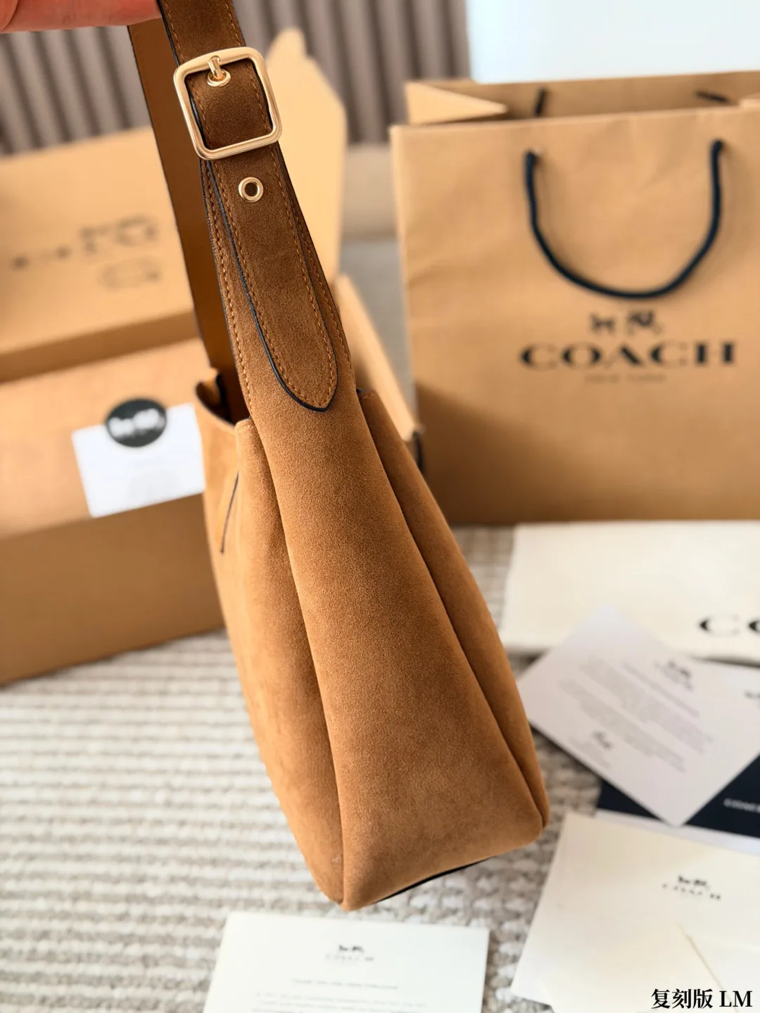 Coach Suede Canvas Hobo Bag in Tan · view 8