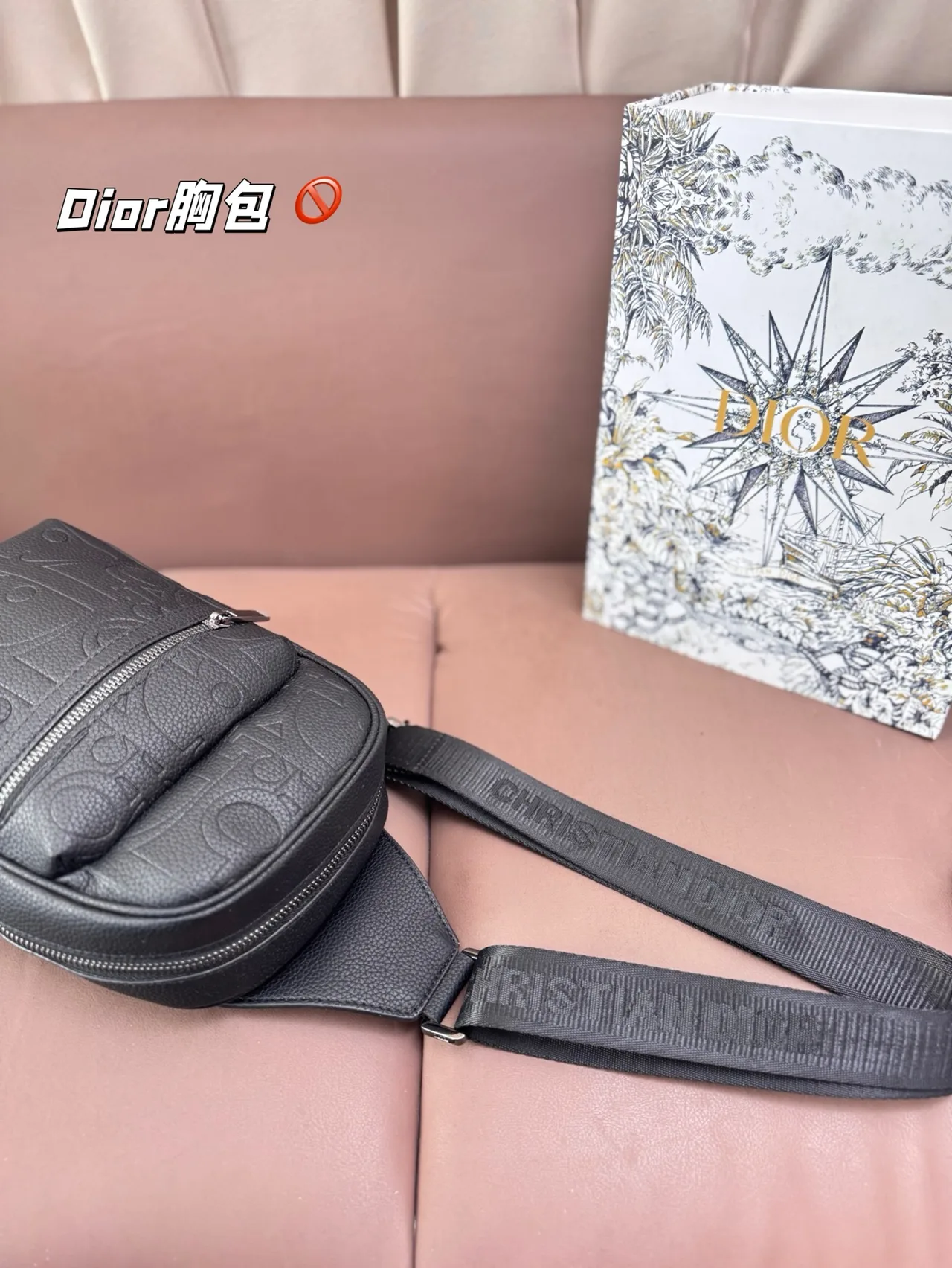 Dior Sling Bag in Grey · view 8