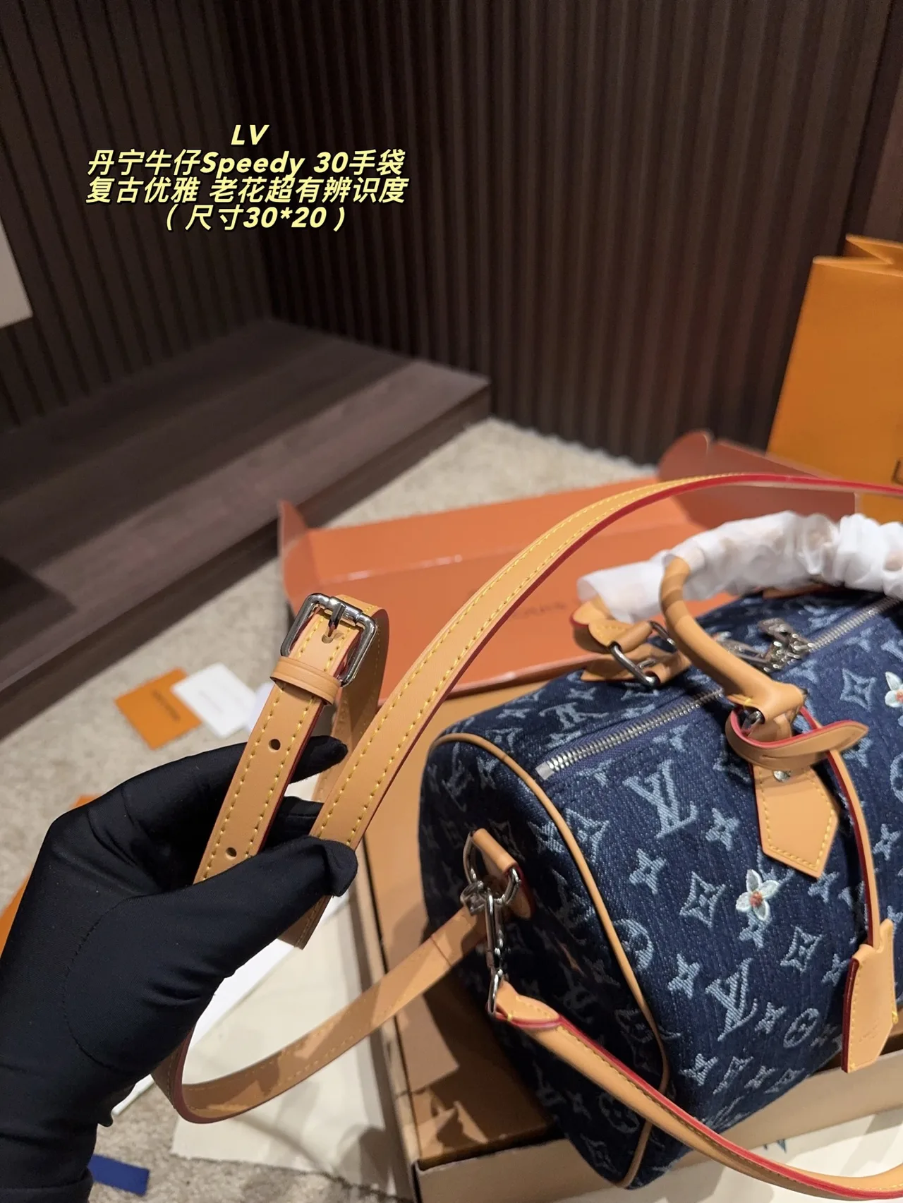 Louis Vuitton Denim Speedy 30 Handbag in Blue · view 7