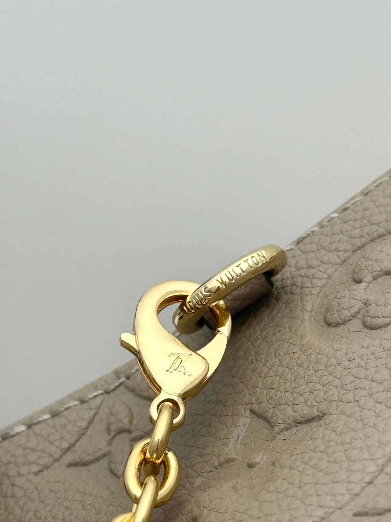 Louis Vuitton Leather Hobo Bag in Grey · view 7