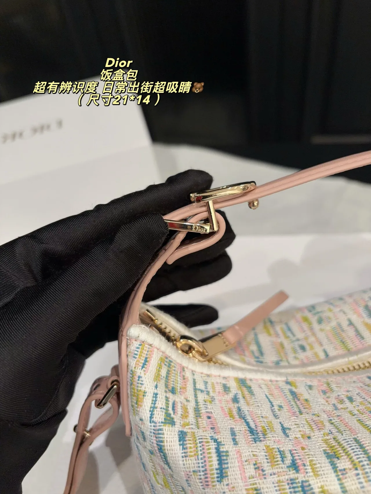 Dior Leather Hobo Bag in White · view 8