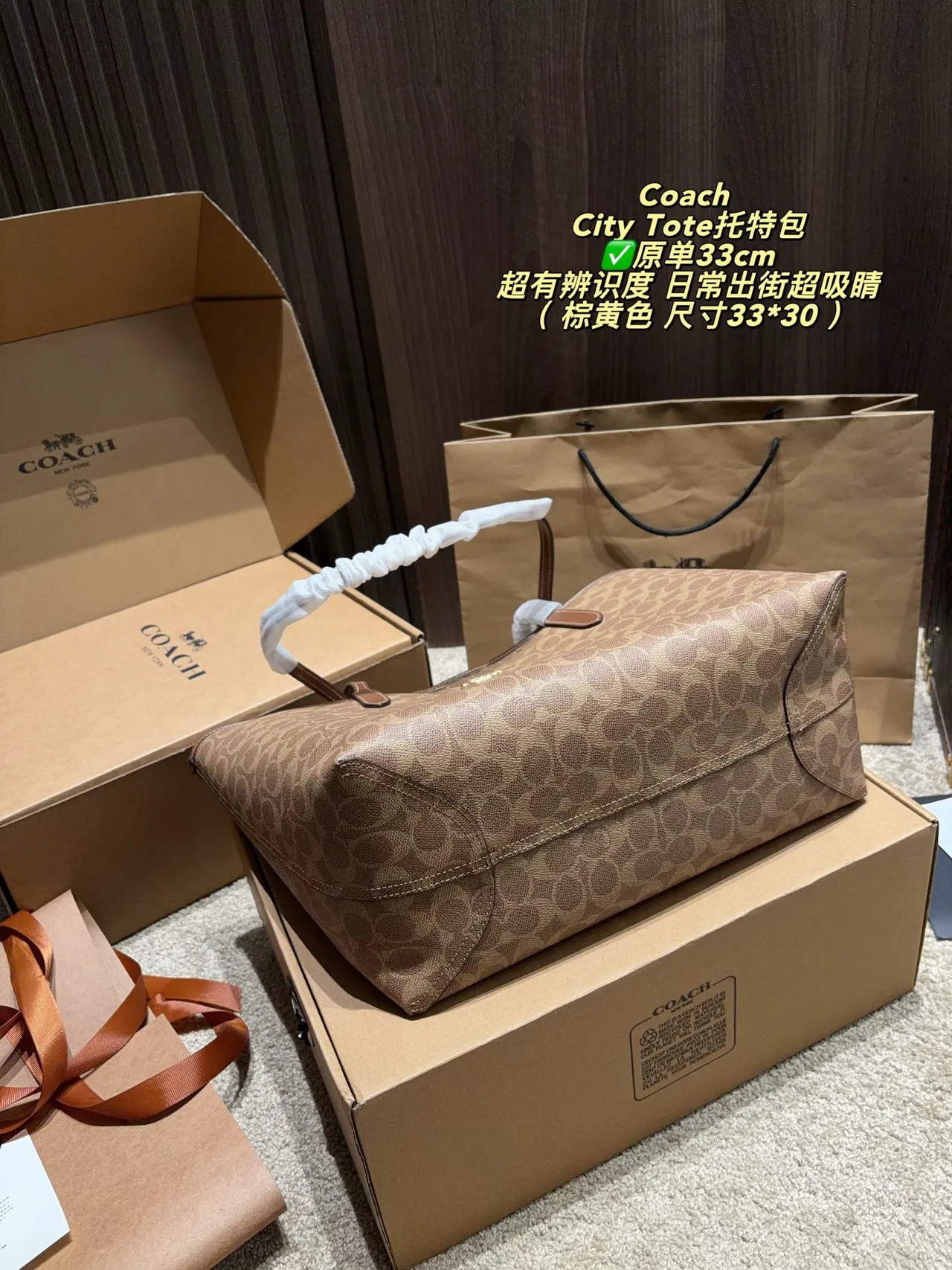 Coach Canvas Tote in Tan · view 4