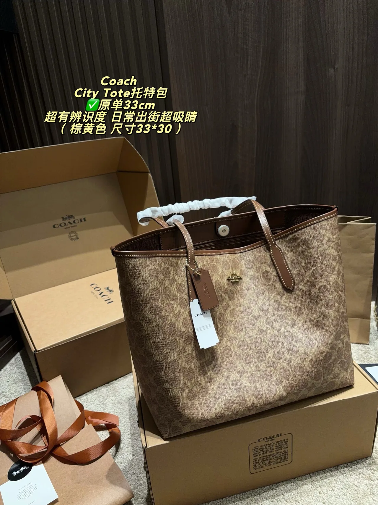 Coach Canvas Tote in Tan · view 5