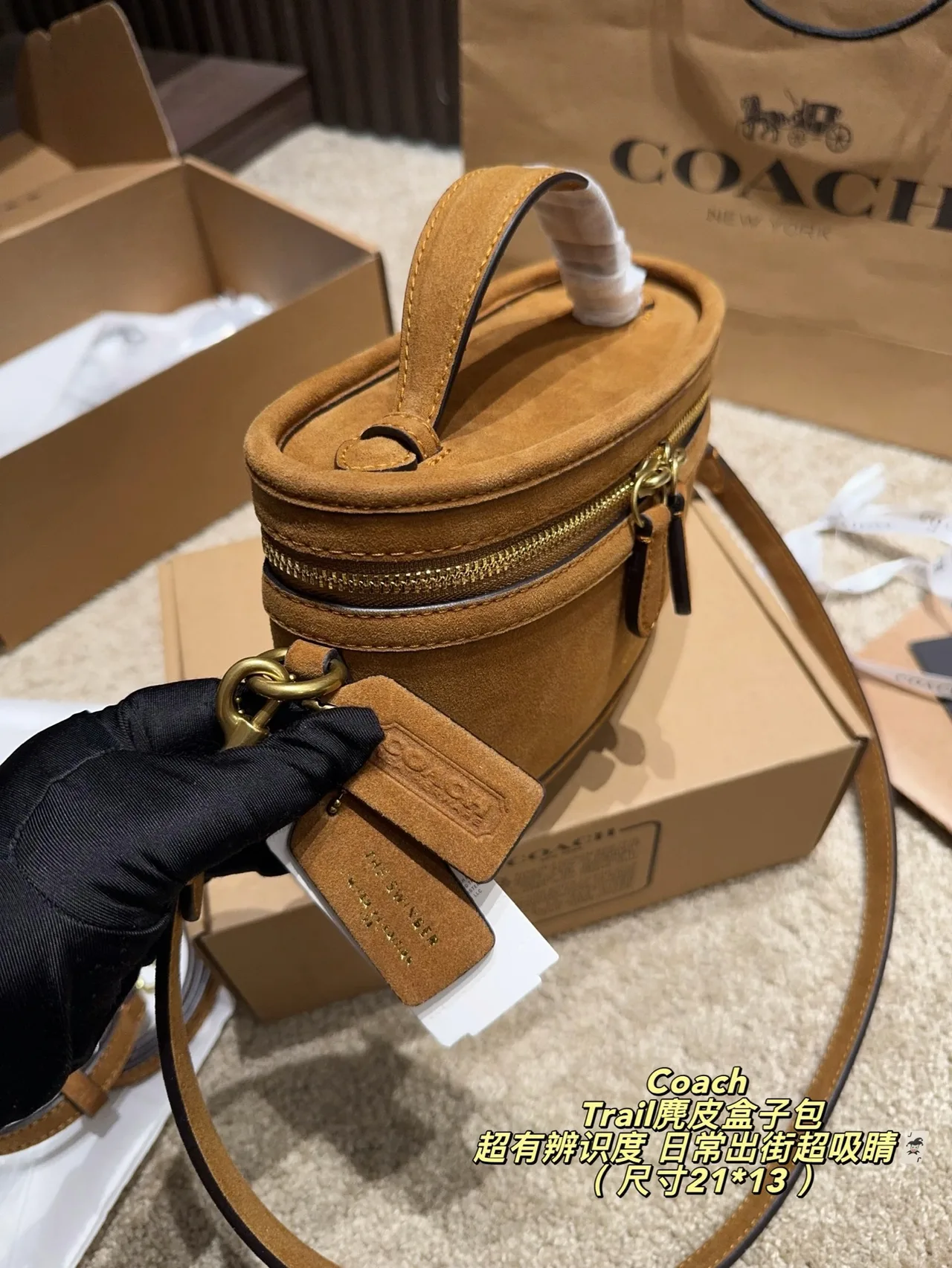 Coach Hobo Crossbody Bag in Tan · view 6