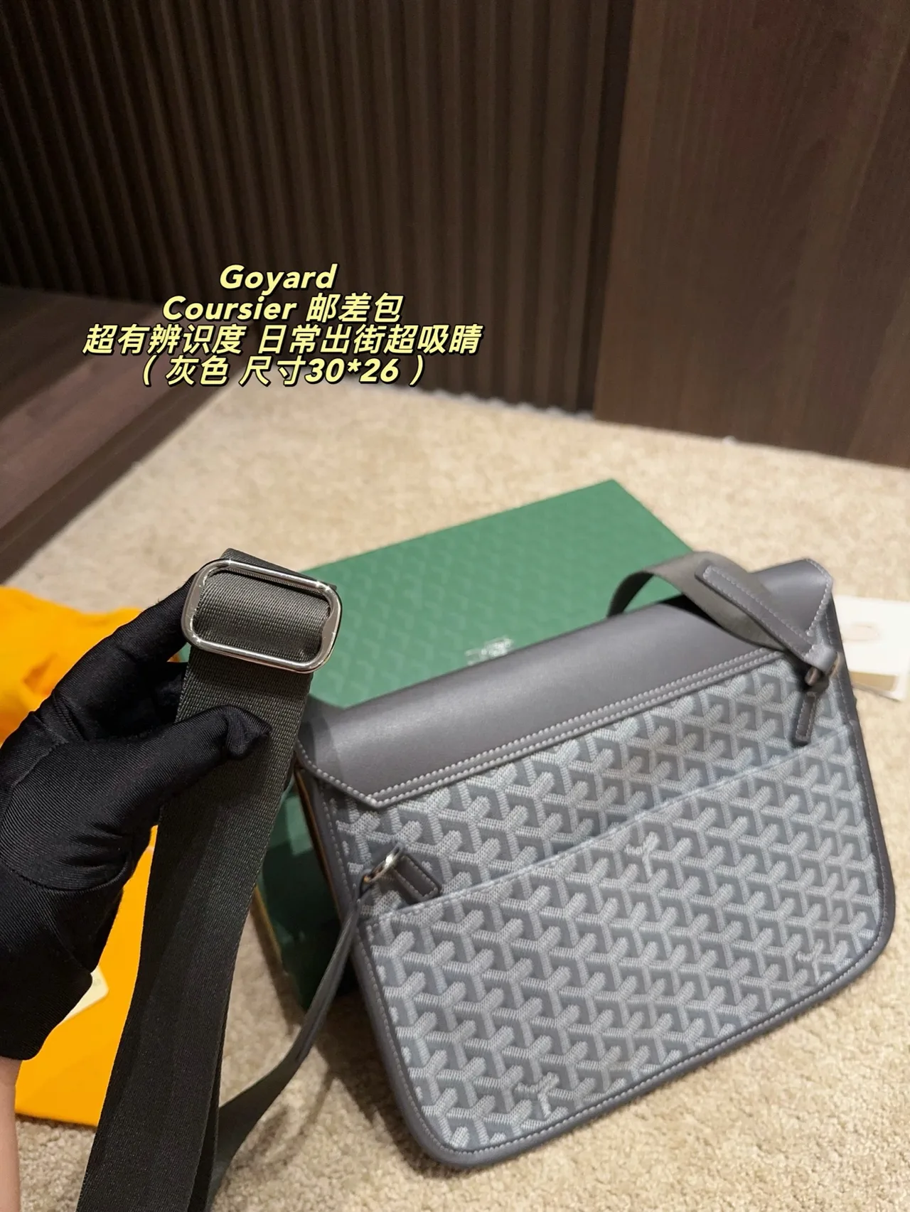 Goyard Canvas Crossbody Bag in Grey · view 8