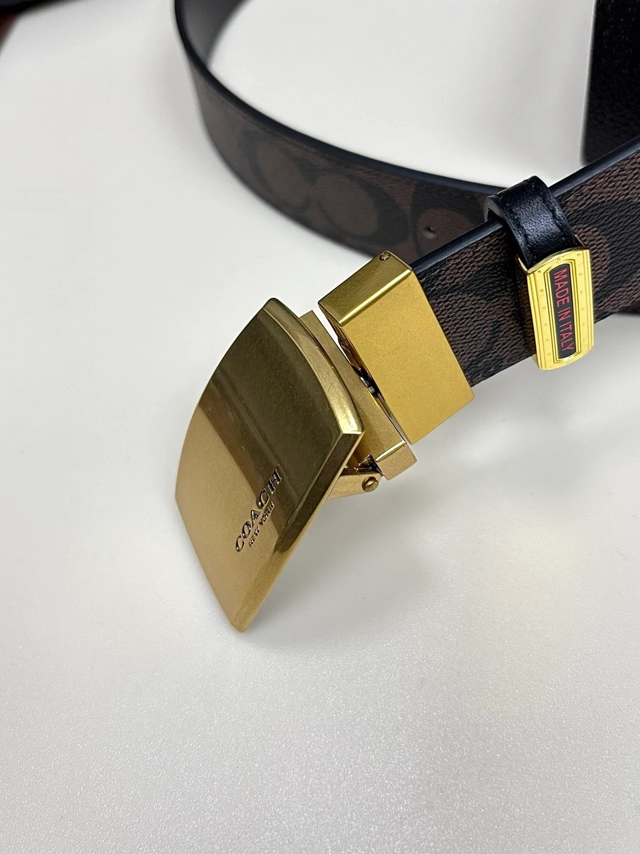 Coach Belt in Black · view 6