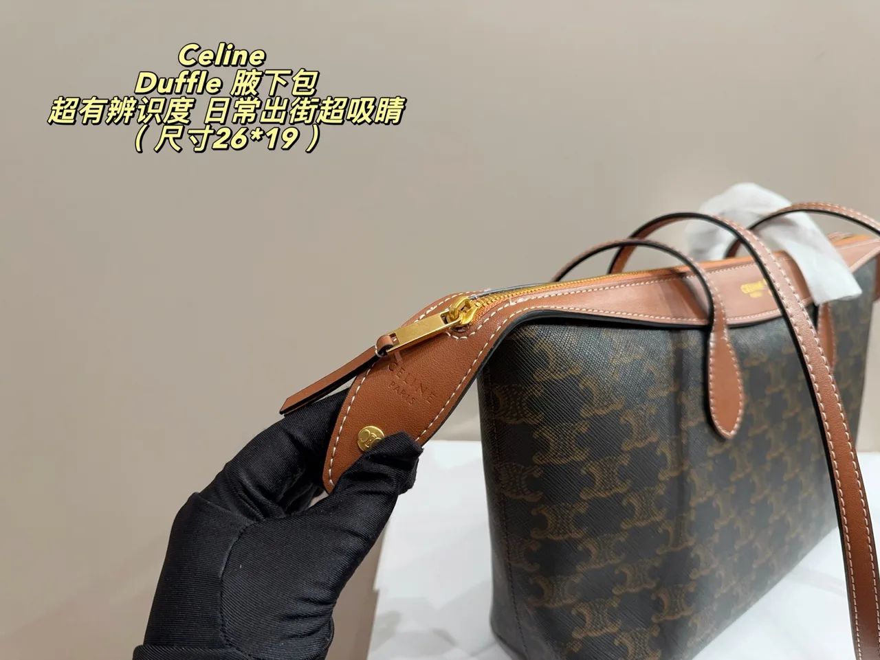 Celine Cowhide Canvas Crossbody Bag in Brown · view 6