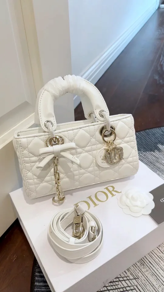 Dior Bow D-Joy Bag in Brown / Blue / Pink / White / Black · view 4