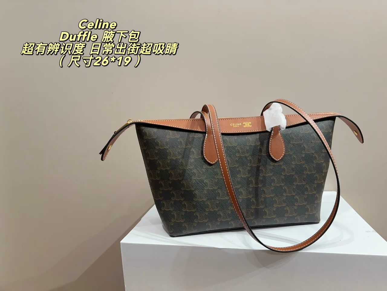 Celine Cowhide Canvas Crossbody Bag in Brown · view 1