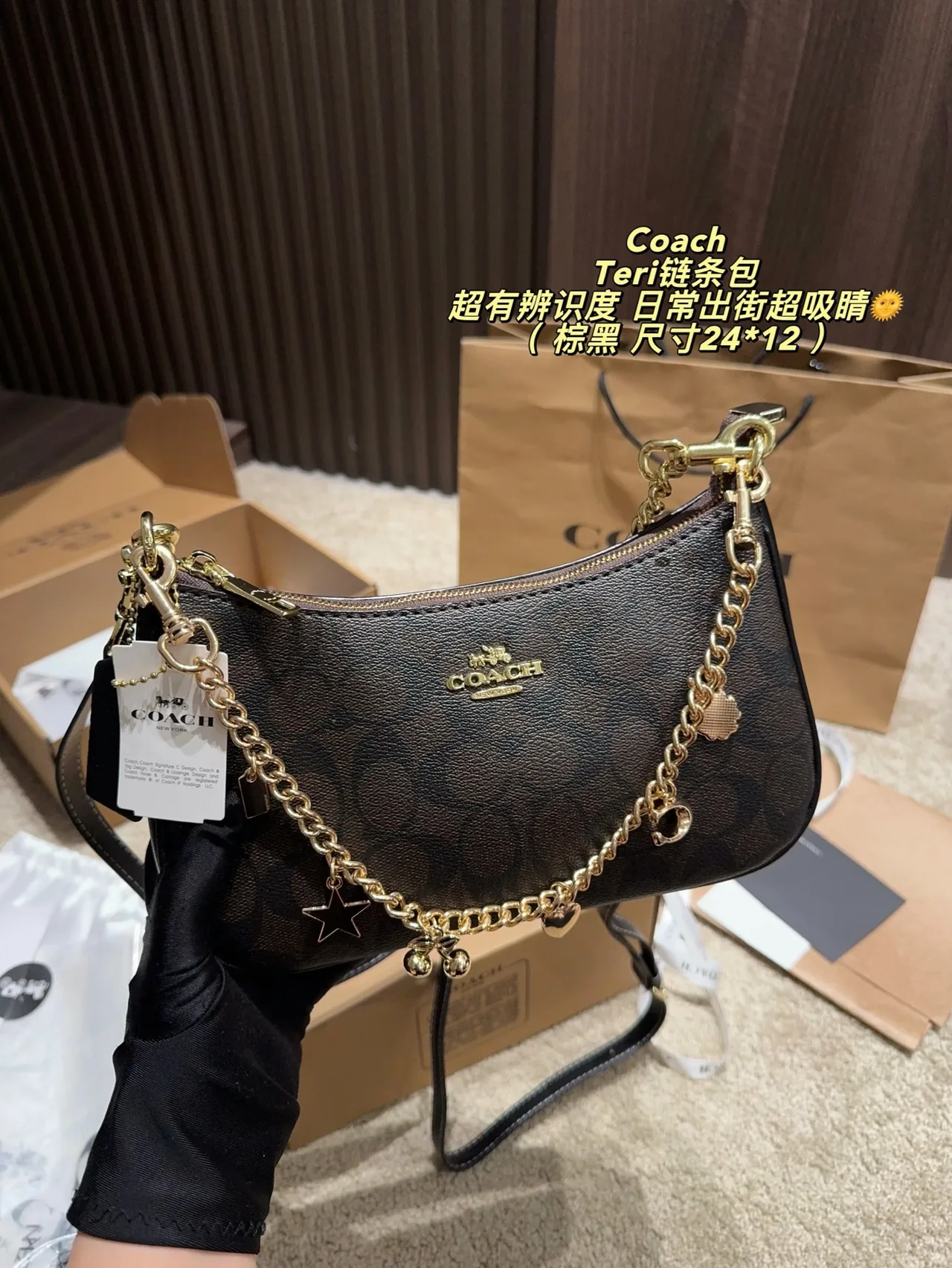 Coach Hobo Teri Chain Shoulder Bag in Brown · view 7