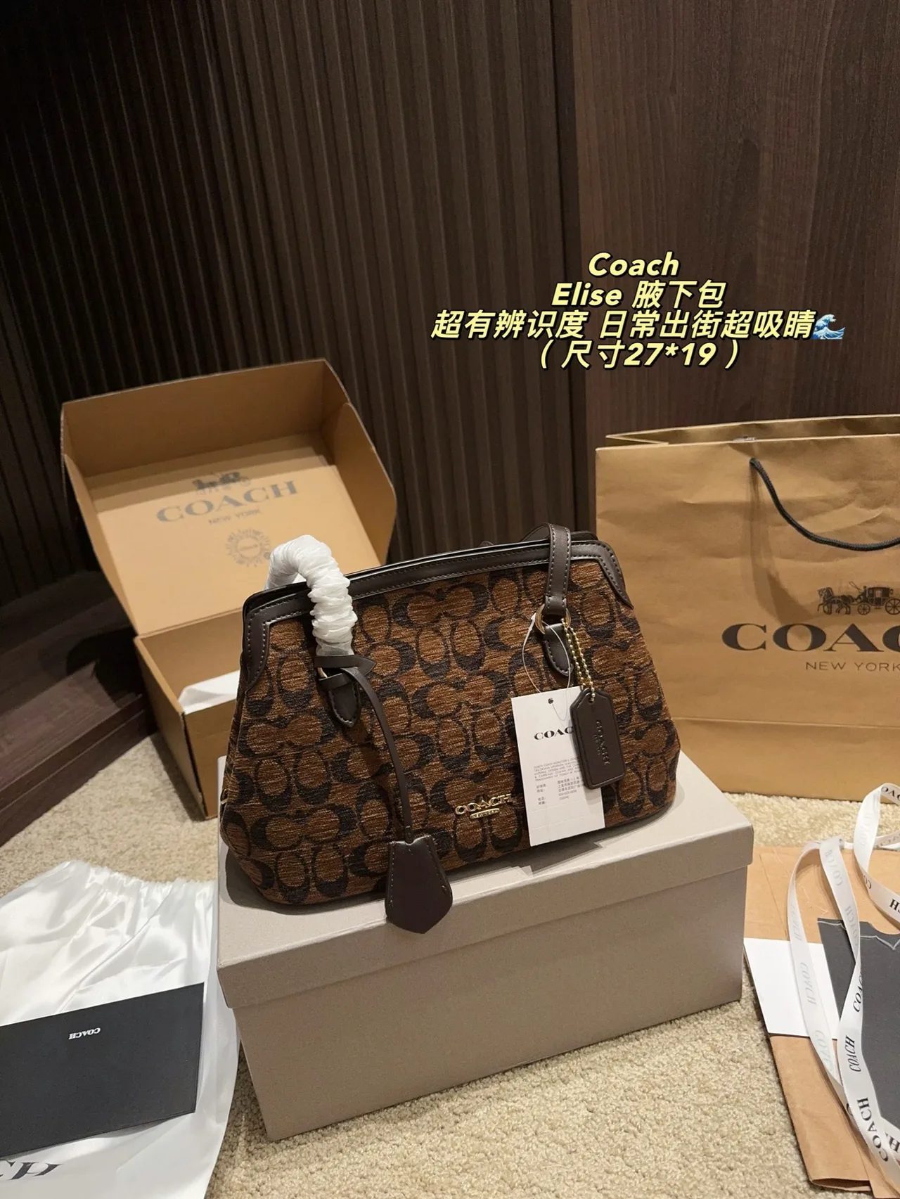 Coach Shoulder Bag in Brown · view 2
