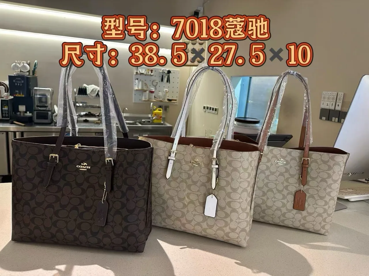 Coach Signature Tote in Brown / Beige · view 8