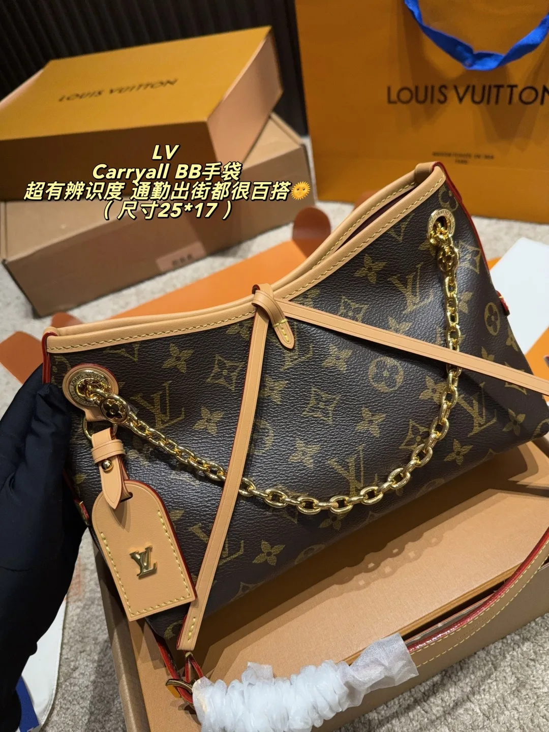 Louis Vuitton Carryall BB Shoulder Bag in Brown · view 3
