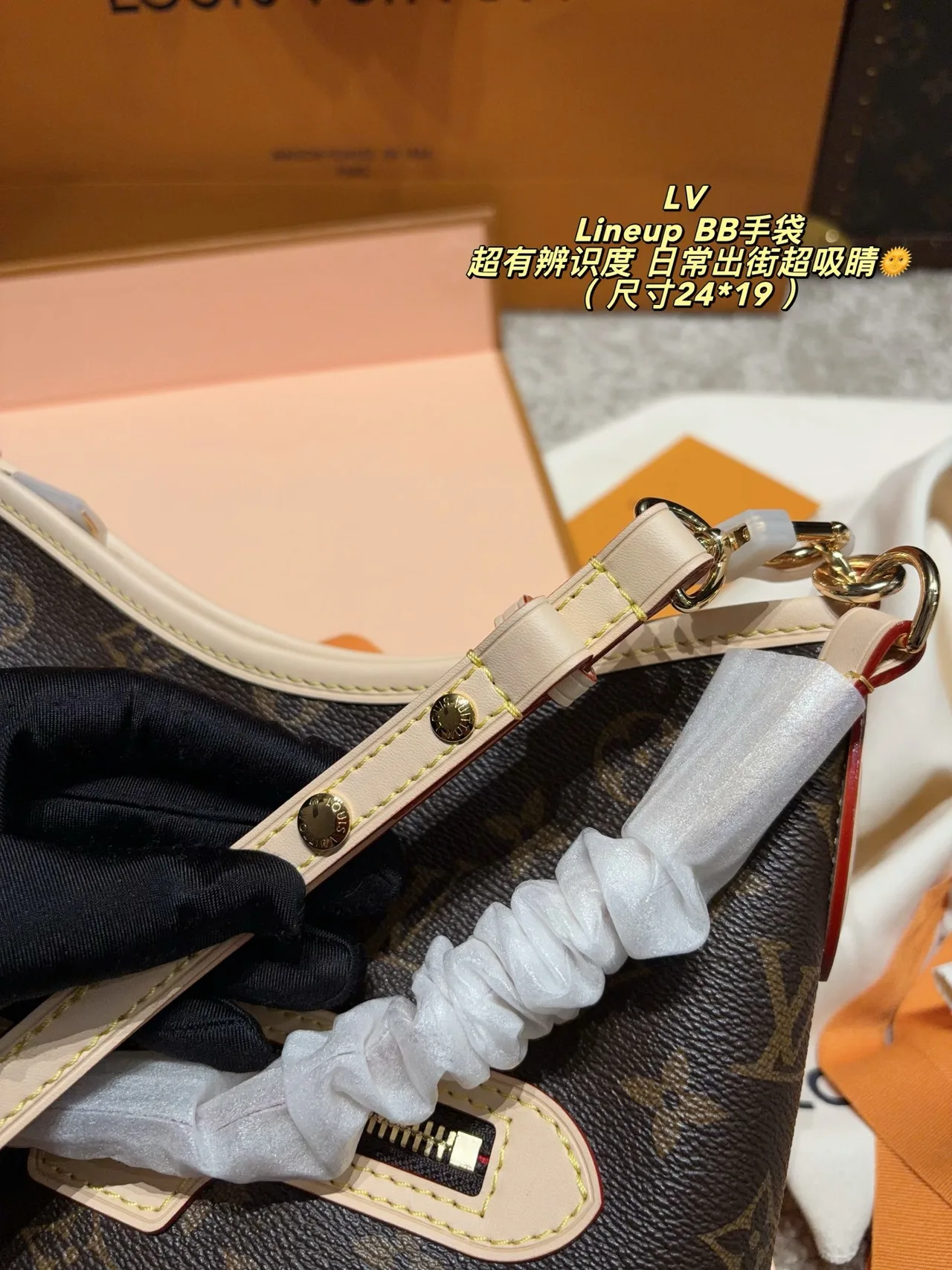 Louis Vuitton Canvas Smooth Hobo Bag in Brown · view 7