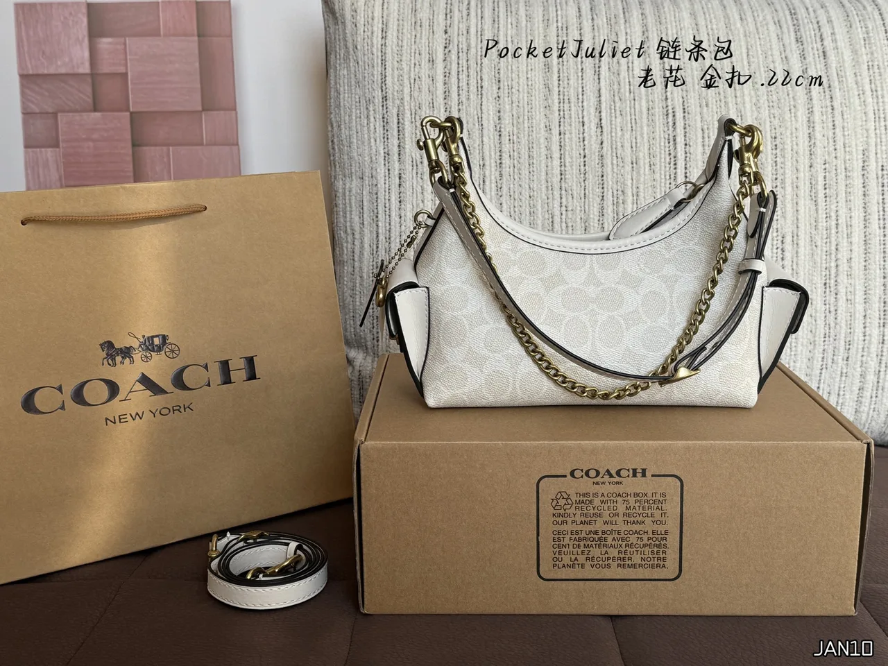 Coach Hobo Bag in White · view 1