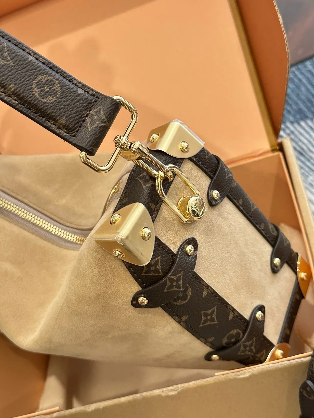 Louis Vuitton Suede Monogram Hobo Bag in Beige · view 8
