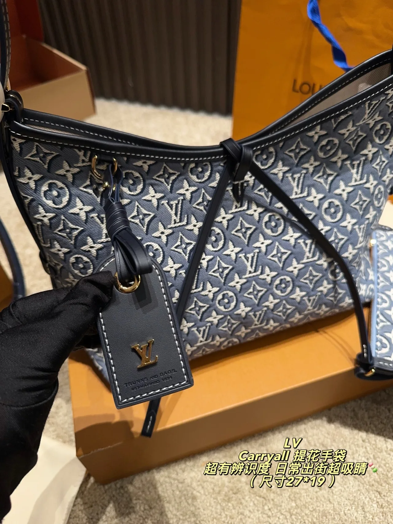 Louis Vuitton Monogram Hobo Bag in Blue · view 5