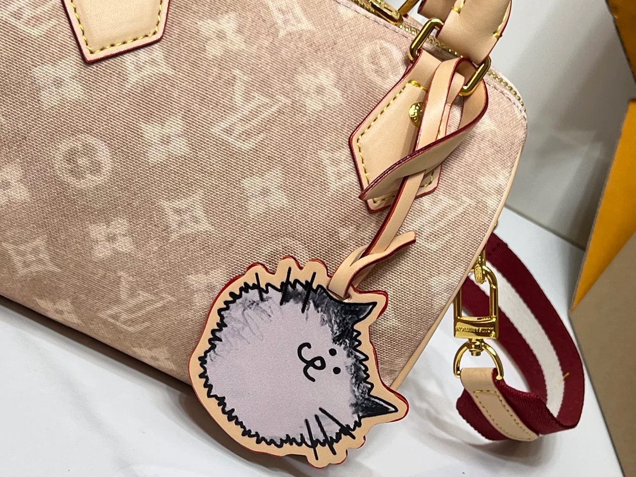 Louis Vuitton Speedy 20 Canvas Speedy Handbag in Beige · view 6