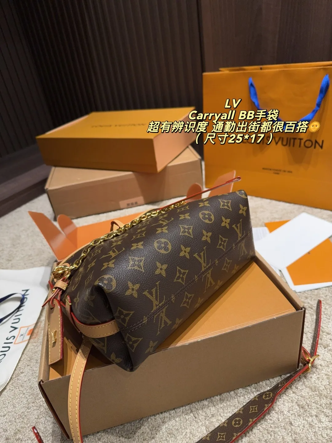 Louis Vuitton Carryall BB Shoulder Bag in Brown · view 8