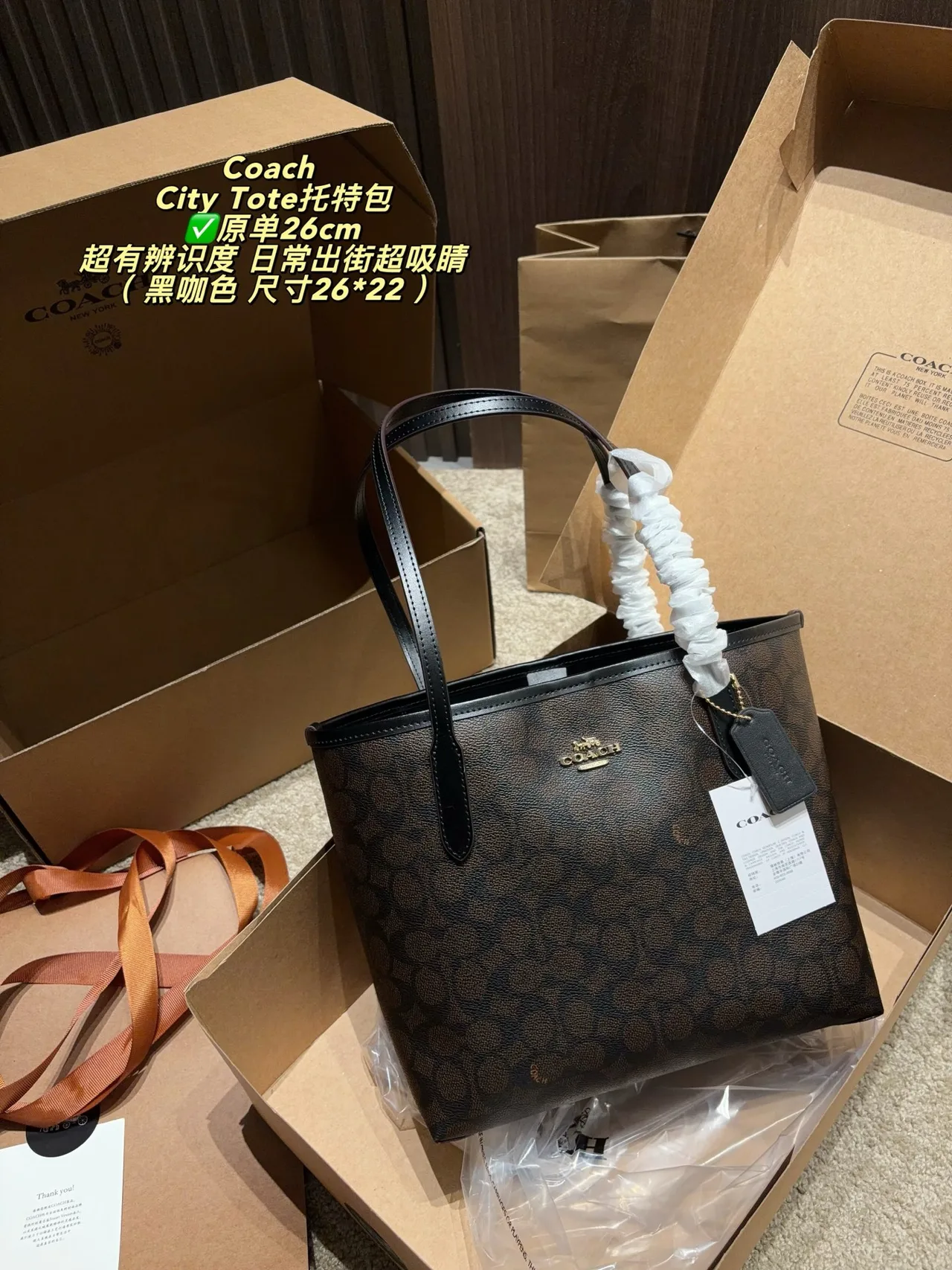 Coach Canvas Smooth City Tote in Brown · view 8