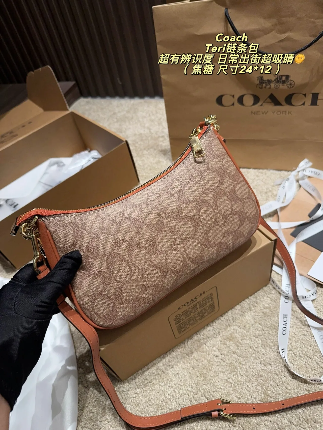 Coach Hobo Bag in Beige · view 8