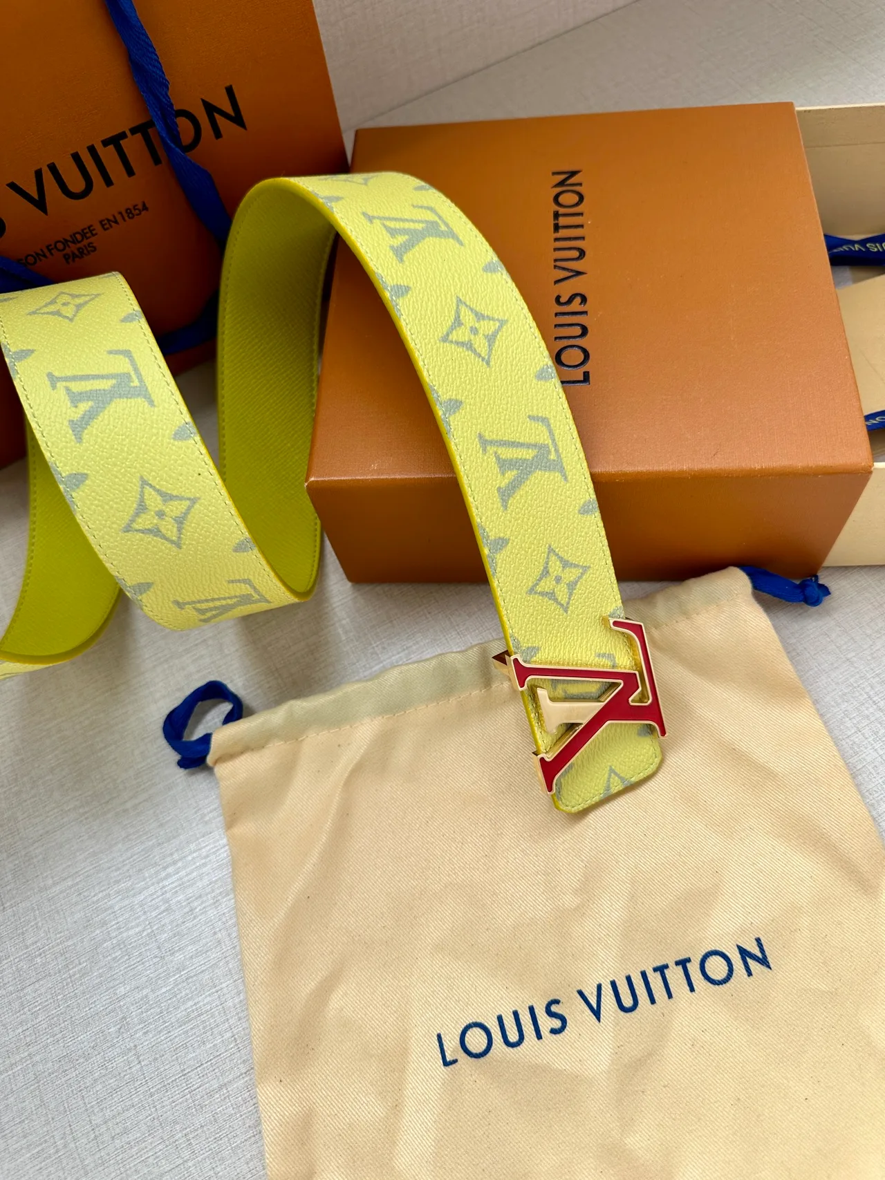 Louis Vuitton Canvas Belt in Yellow · view 5