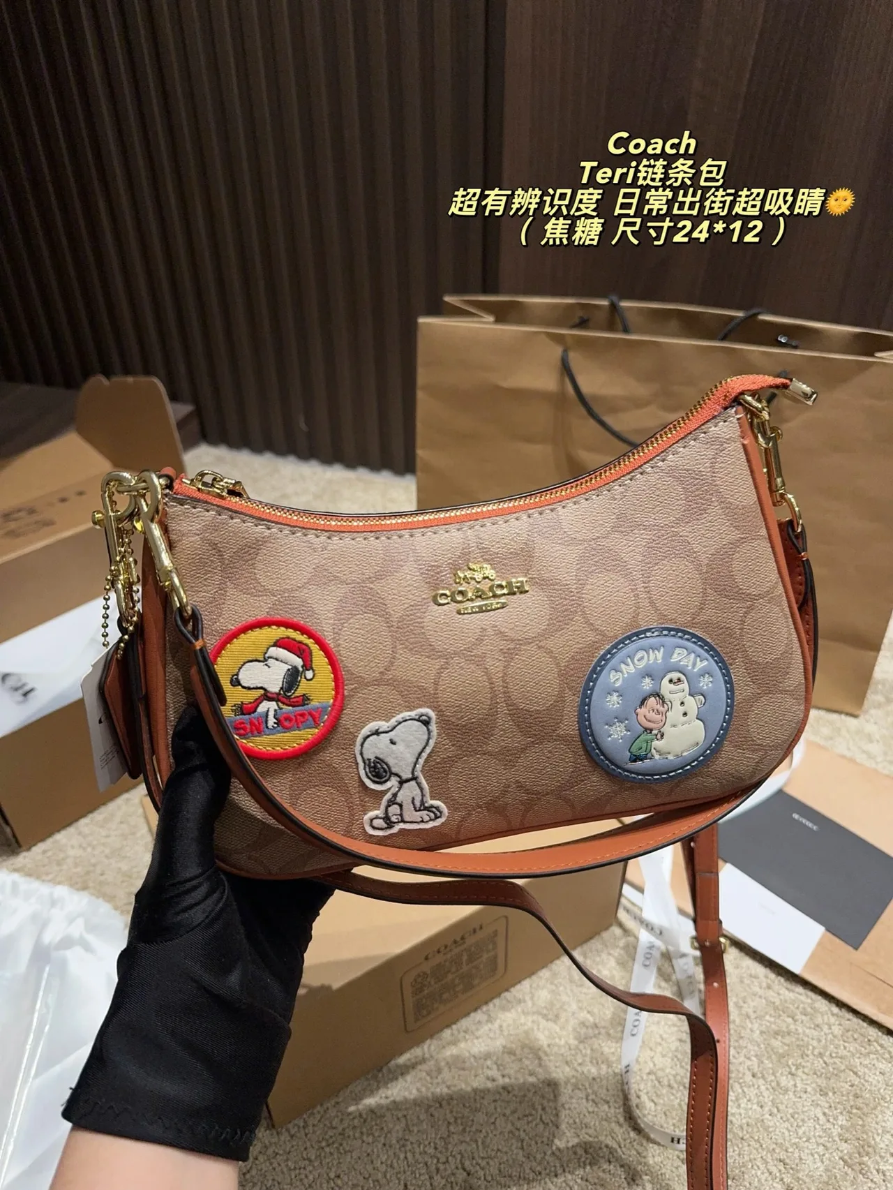 Coach Hobo Bag in Beige · view 4