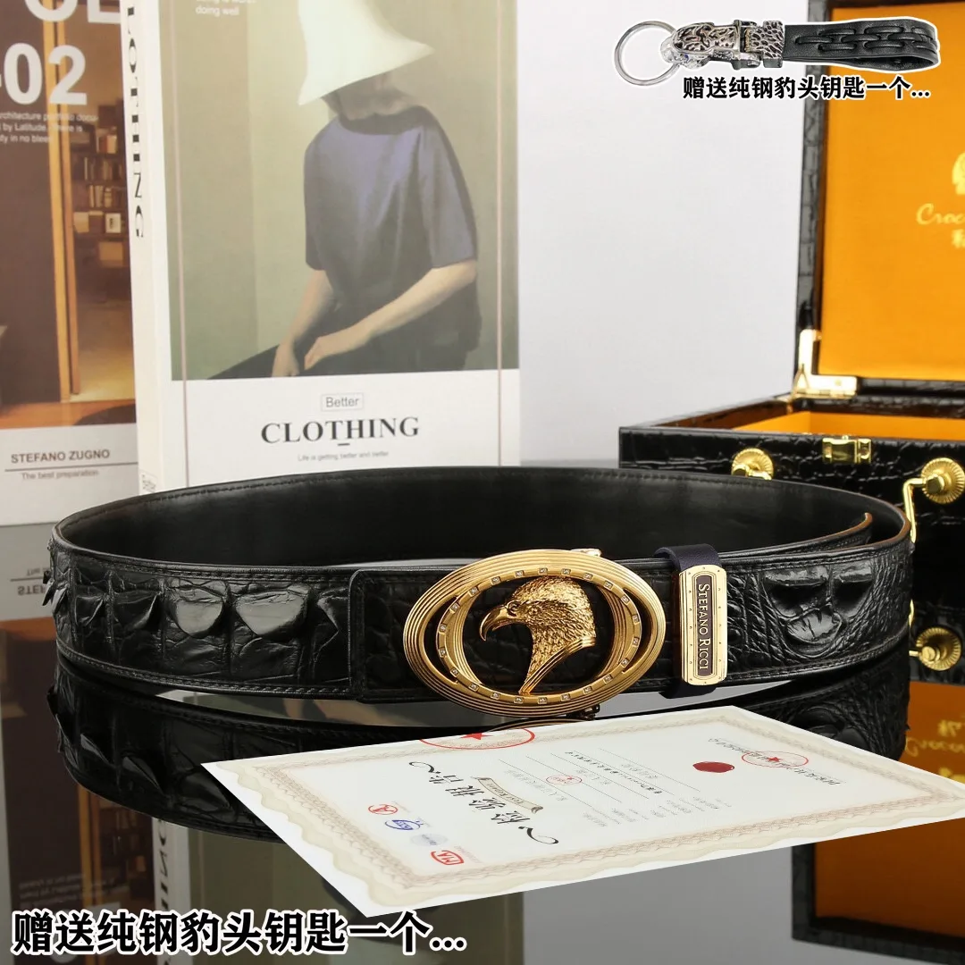 Stefano Ricci Eagle Buckle Belt in Black · view 4