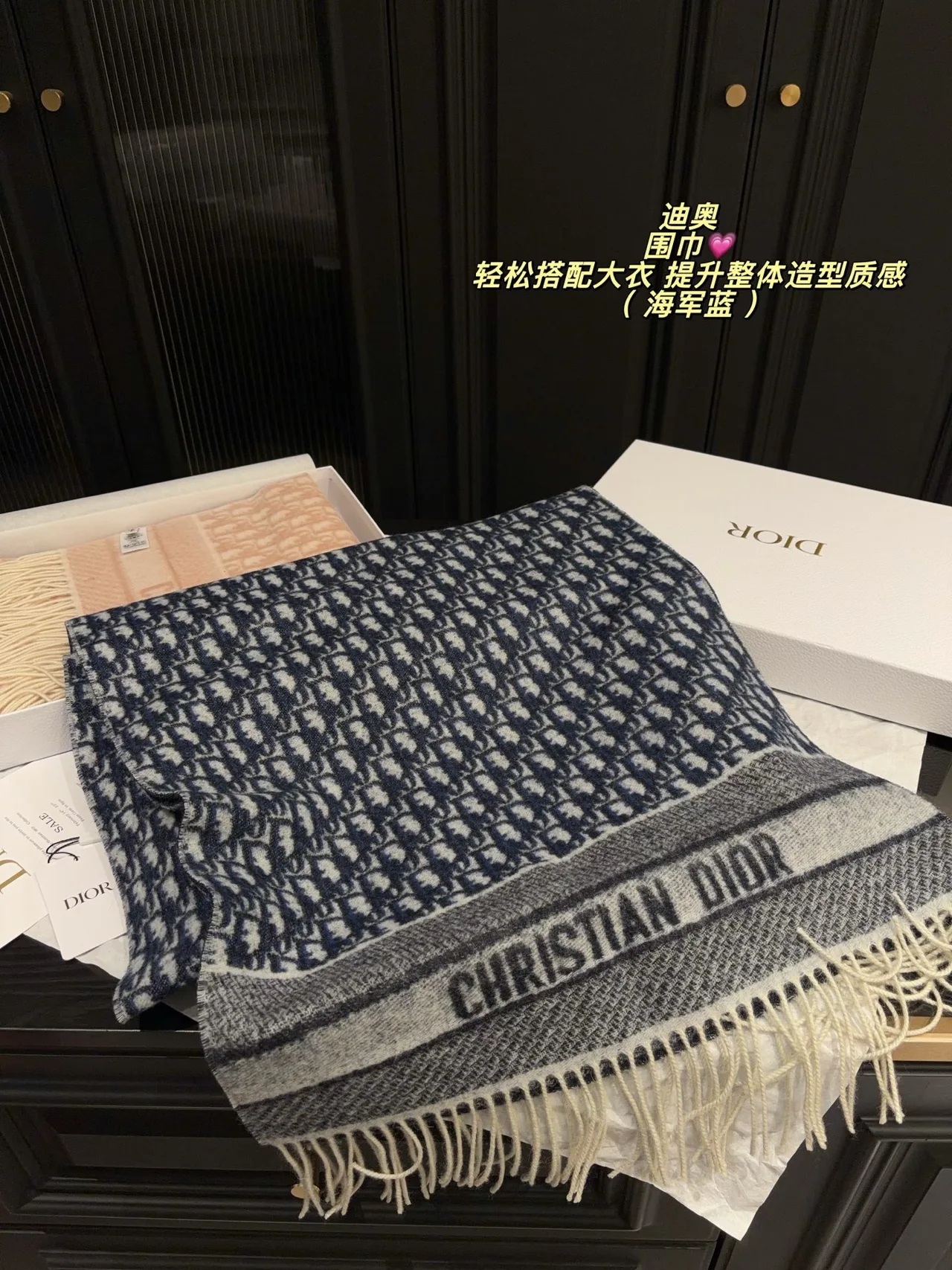 Dior Oblique Fringed Scarf in Pink & Grey & Blue · view 3