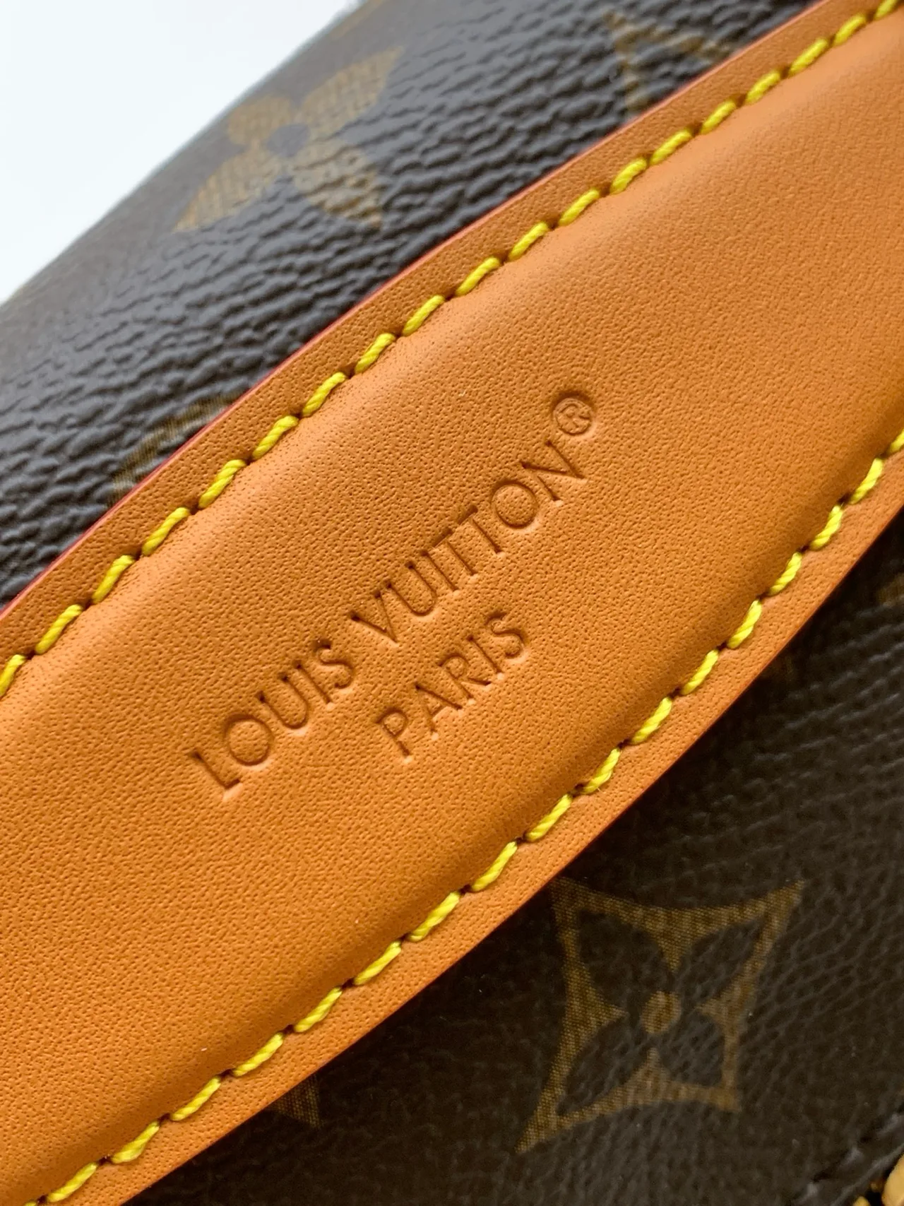 Louis Vuitton Monogram Belt Bag in Brown · view 6