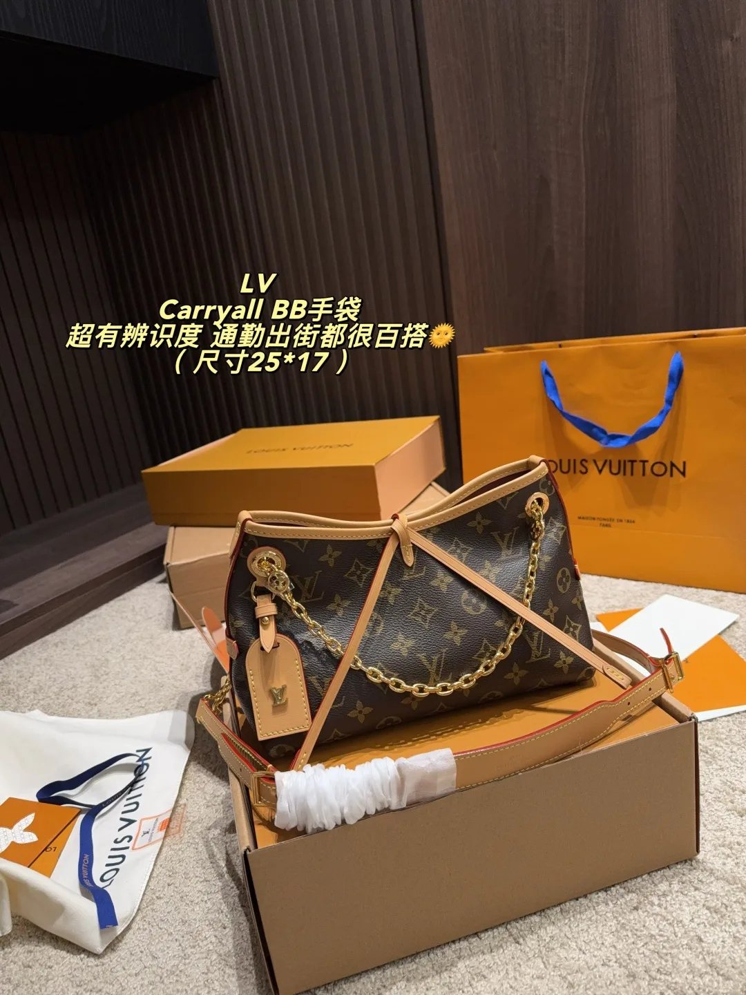 Louis Vuitton Carryall BB Shoulder Bag in Brown · view 2