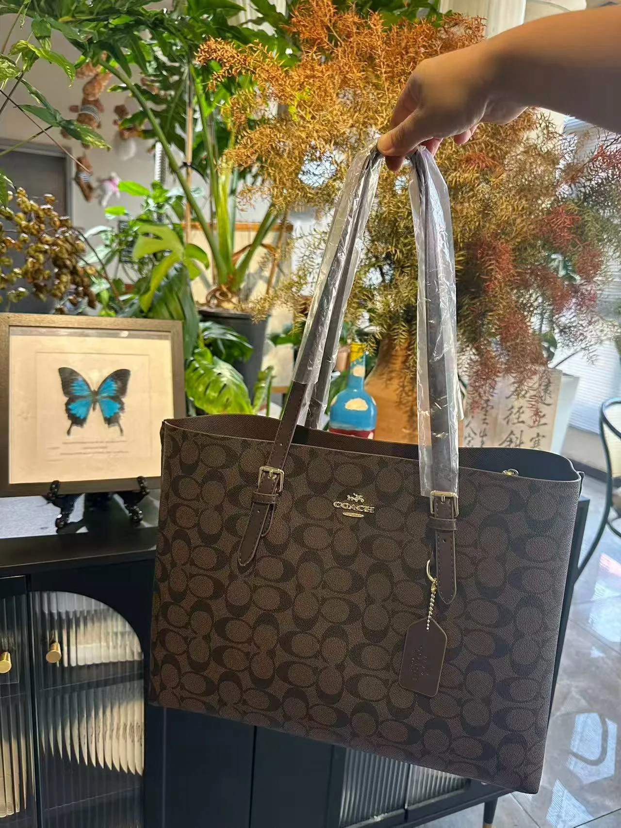 Coach Signature tote in Brown / Beige · view 5