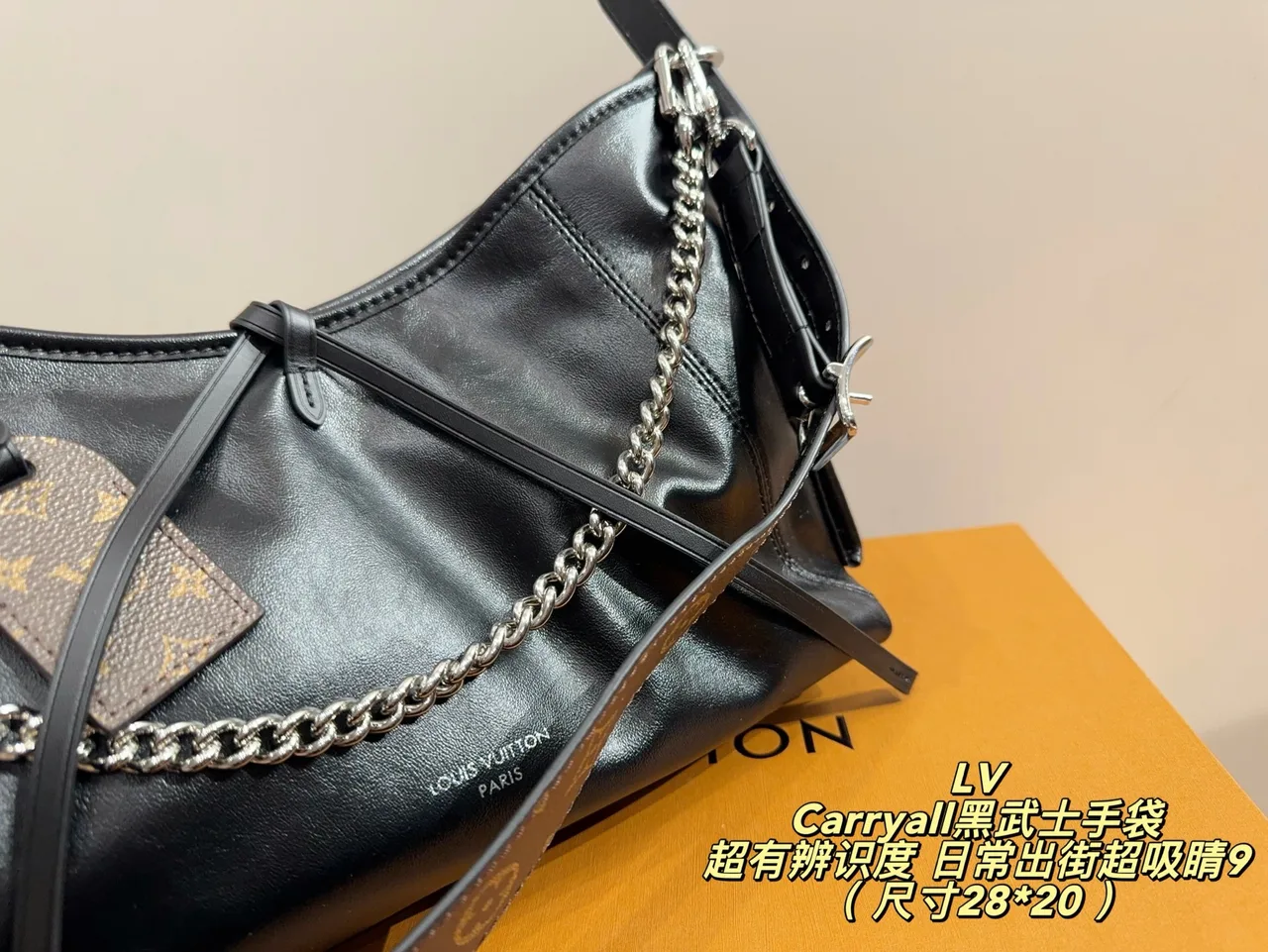 Louis Vuitton Smooth Hobo Bag in Black · view 5