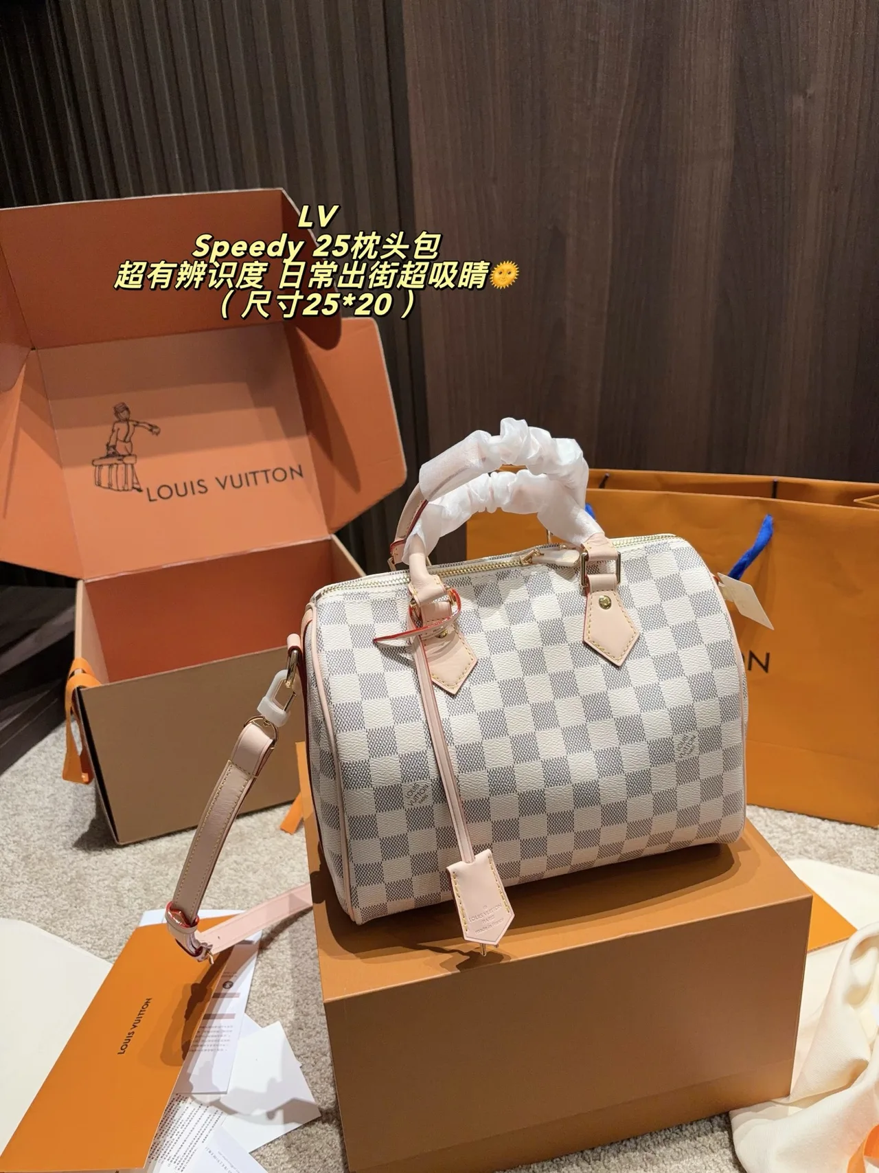 Louis Vuitton Speedy 25 Canvas Crossbody Bag in Grey · view 1