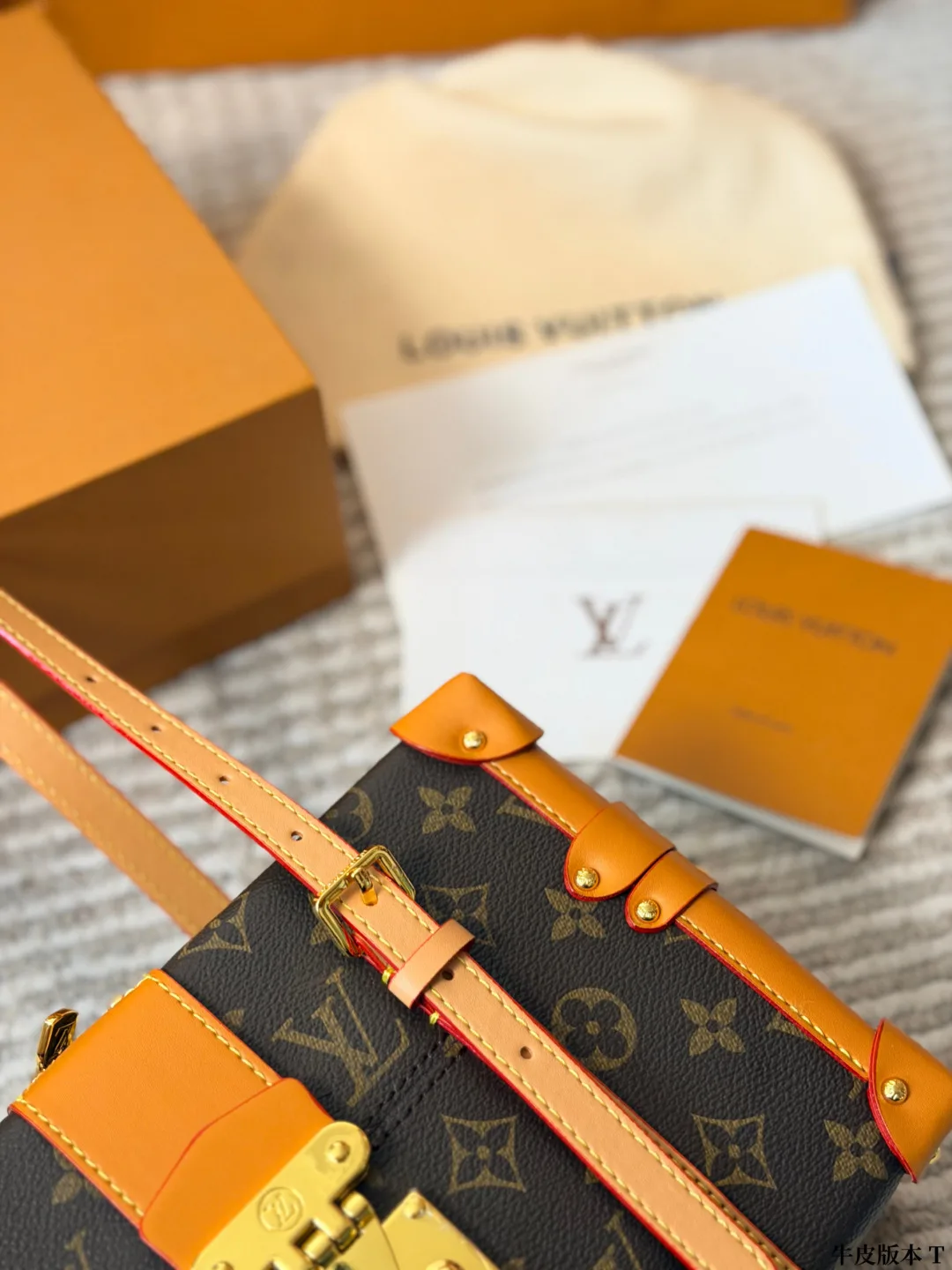 Louis Vuitton Cowhide Canvas Monogram Crossbody Bag in Brown · view 8