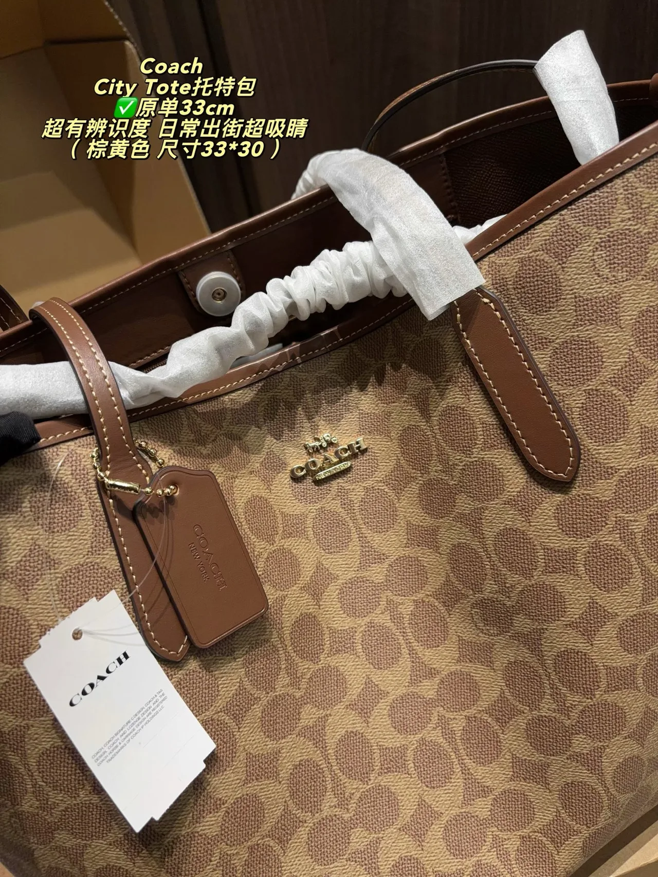 Coach Canvas Tote in Tan · view 6