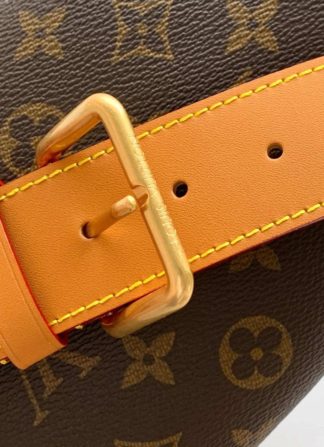 Louis Vuitton Monogram Belt Bag in Brown · view 7